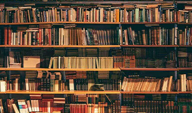 Kitaplık önünde dizilmiş ilmî eserler