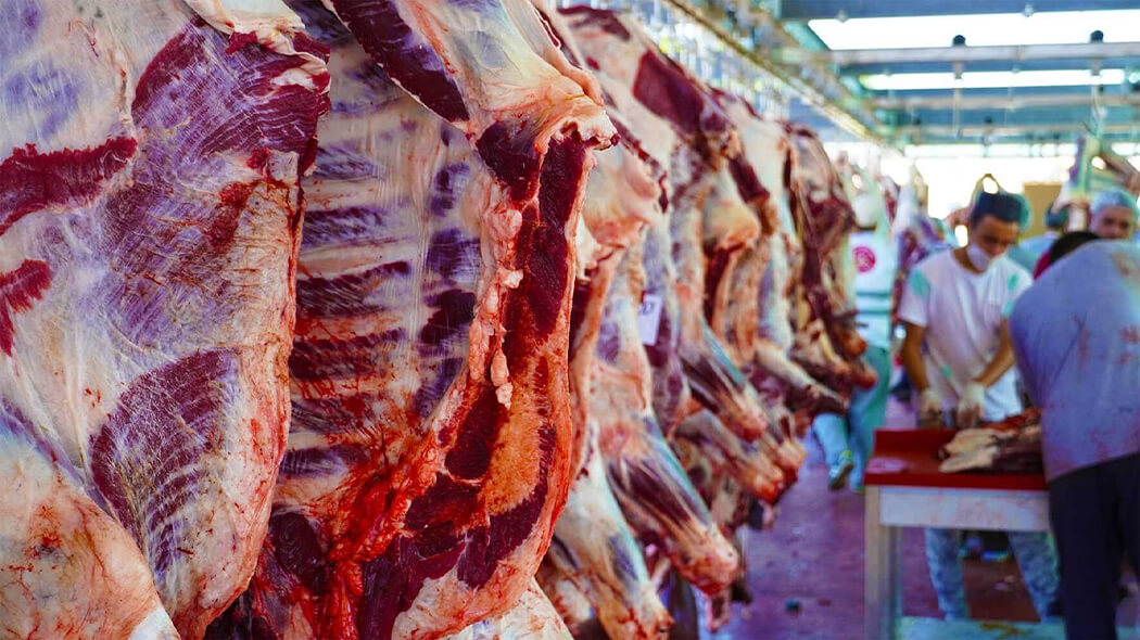 Asılı vaziyette karkas inek eti